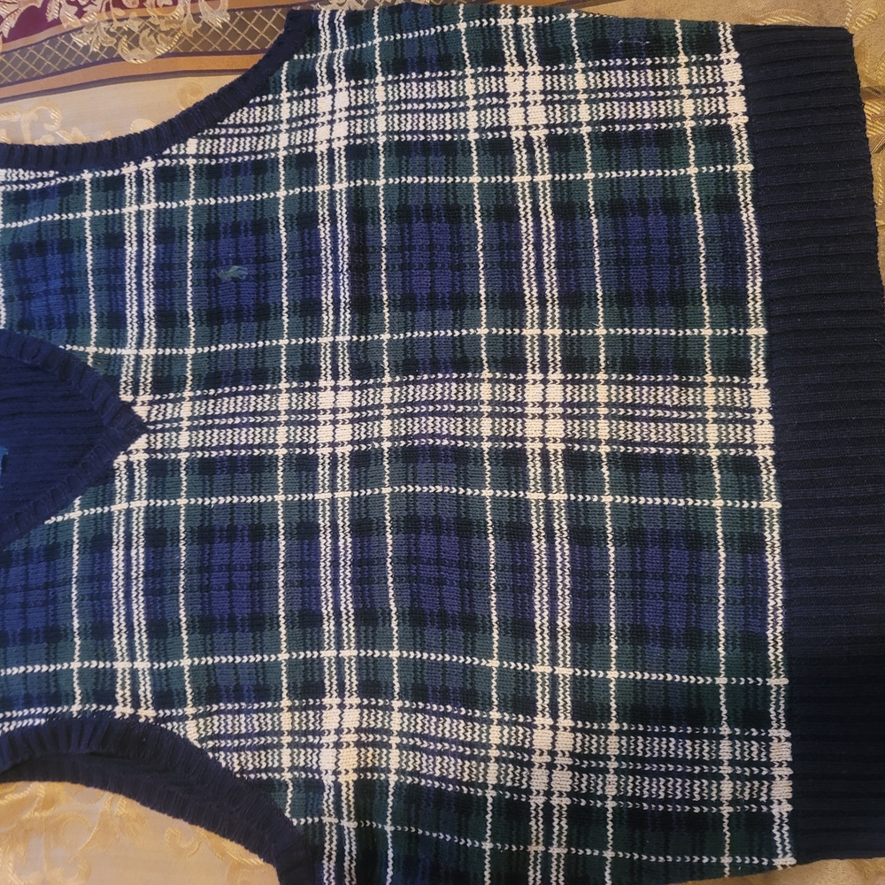 Polo by Ralph Lauren Blue and Green V-Neck Sweater